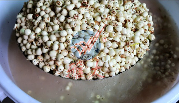 1、蓮子浸泡不帶皮