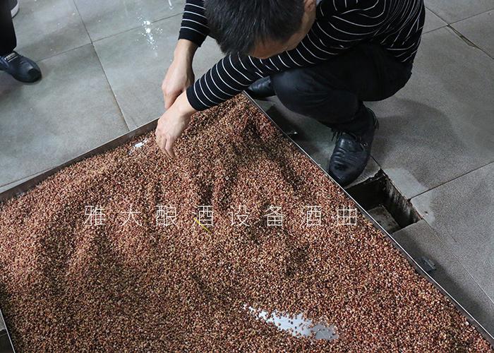 2.3來雅大學習高粱釀酒技術