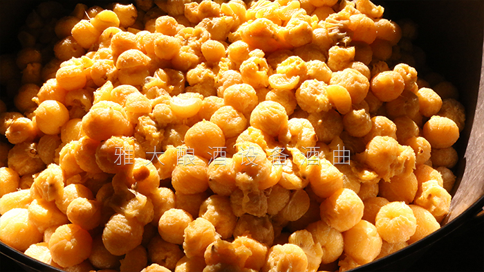 去皮皇帝柑釀酒技術(shù)-剝皮、加糖