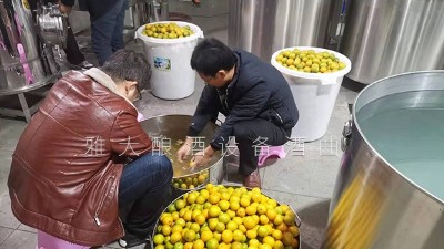 將幾十萬斤黃帝柑次果直接扔掉 看雅大小型蒸酒設備如何變廢為寶