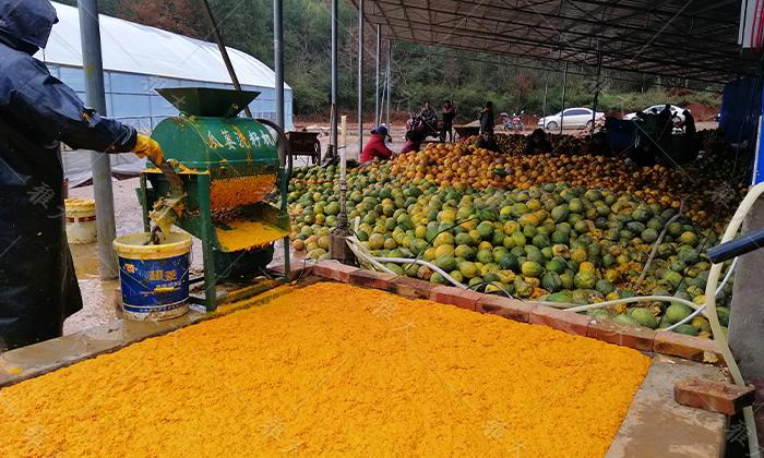 涂總組織員工加工分剝瓜皮、提取瓜籽