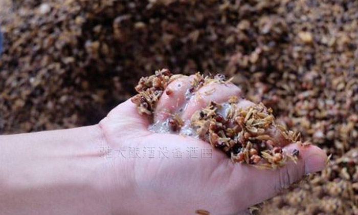 12.18用白酒生產(chǎn)設(shè)備蒸酒前，要檢查發(fā)酵情況