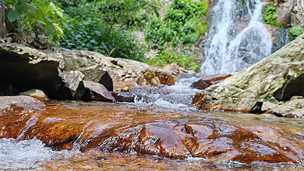 “好水釀好酒”，水在白酒釀造中到底起什么作用？