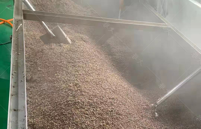 10.18將苦蕎蒸至90%以上開(kāi)花