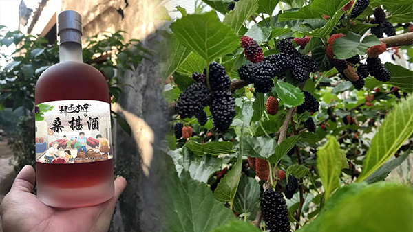 雅大果酒釀酒設(shè)備和釀酒技術(shù)，幫助果農(nóng)走出“滯銷(xiāo)”困局