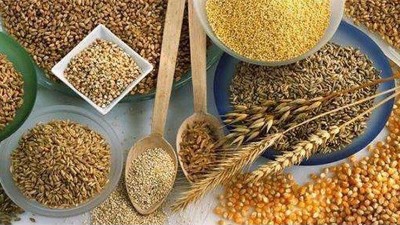 用小型白酒設(shè)備純糧酒藏著如此多的秘密，純糧原料至關(guān)重要