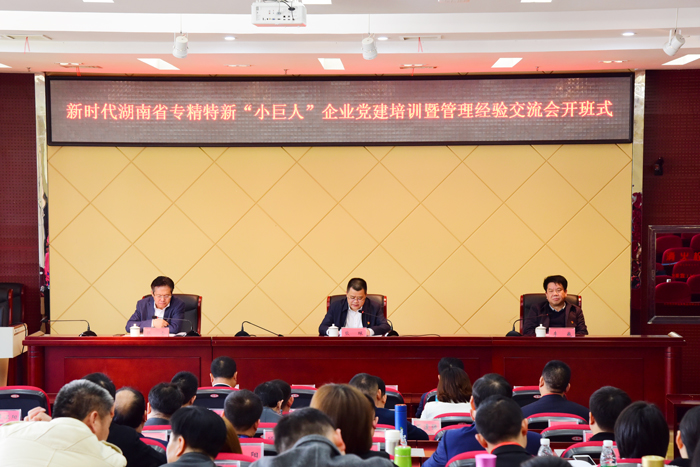 新時(shí)代湖南省專(zhuān)精特新“小巨人”企業(yè)黨建培訓(xùn)
