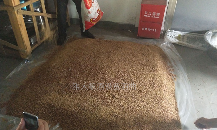 10.4-高粱釀酒實(shí)操攤涼、下曲、做箱