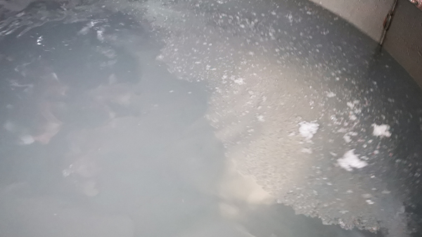 白酒在低溫下變渾濁，出現(xiàn)白色絮狀物正常嗎?