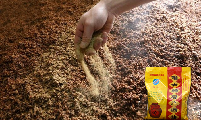 9.2雅大高產酒曲