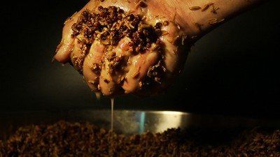 明明發(fā)酵得很好，為什么用小型釀酒設(shè)備蒸酒時(shí)就是不出酒？