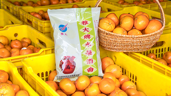 桔子滯銷怎么辦，試試用果酒釀酒設(shè)備將它們釀成酒吧！