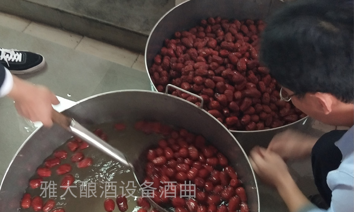 10.10紅棗釀酒技術-清洗