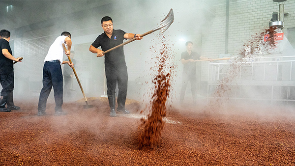 考察釀酒設(shè)備，你還在糾結(jié)距離遠(yuǎn)嗎？這3個真相，讓你不再猶豫！