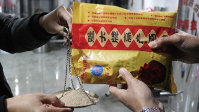 為了多出酒，100斤糧食多加1倍用量的酒曲，結果……