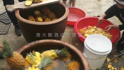 用果酒釀酒設(shè)備做菠蘿酒，簡單易學(xué)，只需簡單幾步。