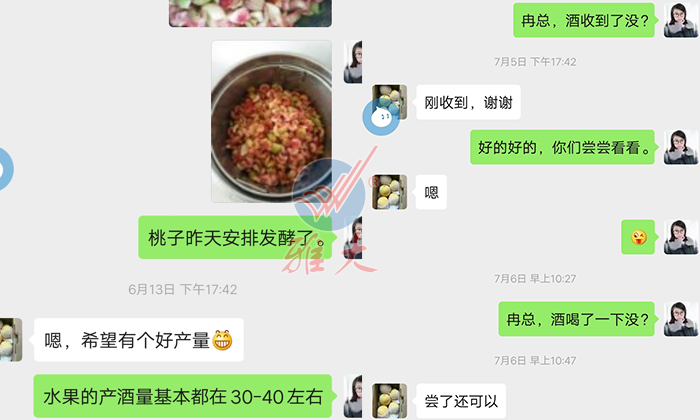 10.28雅大幫忙研發(fā)的黃桃酒，冉總品嘗后很滿意