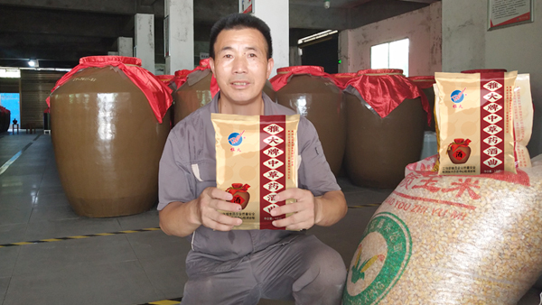 想釀造正宗的農(nóng)家土酒，卻找不到合適的酒曲怎么辦？