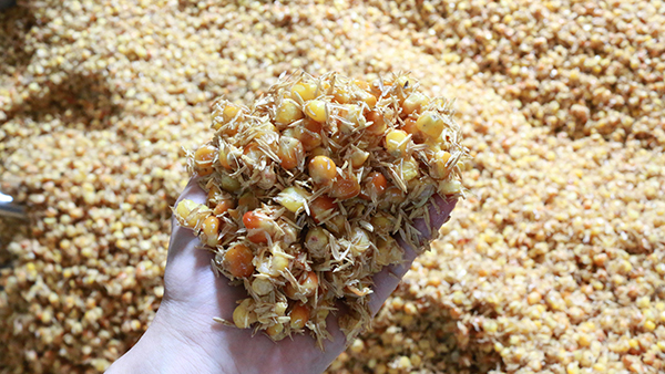 驚！夏季用白酒蒸餾設(shè)備做固態(tài)酒時加入輔料作用這么大！