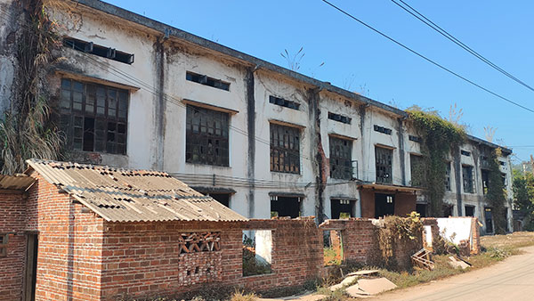 從門外漢到酒香四溢——看廣東清遠黃總如何成功打造特色酒坊