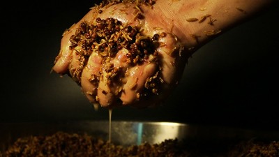 【烤酒設(shè)備】農(nóng)時不等人，釀酒知時節(jié)！