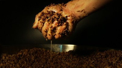 發(fā)酵時注意這7個細(xì)節(jié)，零基礎(chǔ)也能用蒸酒設(shè)備做出好酒！