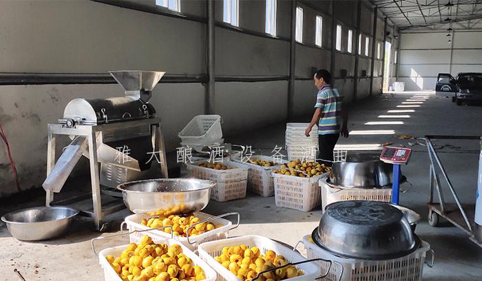 2020年，用釀酒機械釀造果酒的朋友將越來越多！1