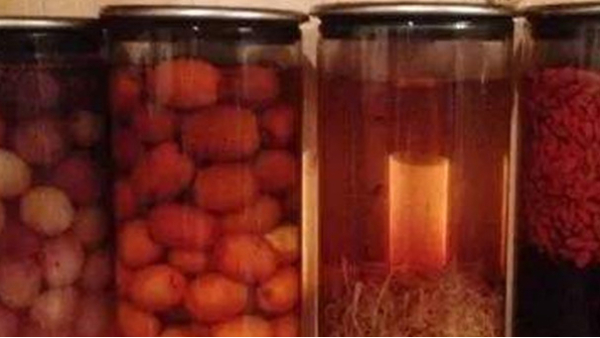 蒸餾釀酒設(shè)備：常見的6種野果，泡成酒連老酒鬼們都念念不忘！