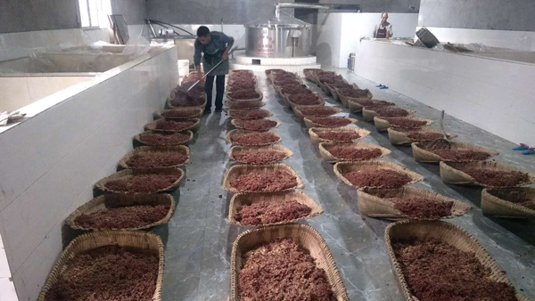 引進(jìn)大型釀酒設(shè)備，用“釀”奏響脫貧致富的時代樂章