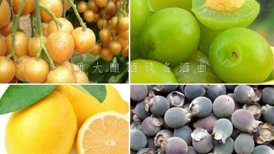 藏在果園里的果酒釀酒設(shè)備酒坊，生意卻依然火爆！