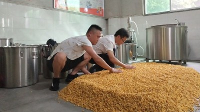 零基礎(chǔ)用做酒設(shè)備釀酒，必須要掌握糖化和酒化的6大要點！