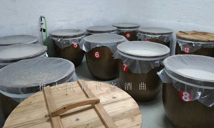 12.26干凈整潔的發(fā)酵車間、科學(xué)的管理