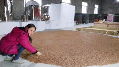 蒸餾釀酒設(shè)備釀酒的兩條路徑，決定了白酒的口感和出酒率！