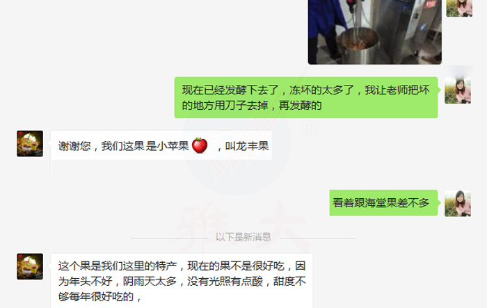 1.13今年的龍豐果品質沒往年好