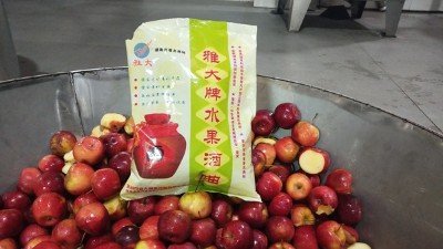 龍豐果酒怎么釀？雅大小型酒廠釀酒設(shè)備現(xiàn)場教您釀！