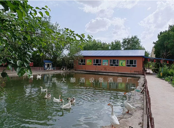 在農村搞套白酒釀酒設備釀酒