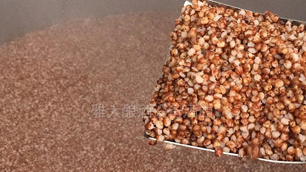 7.4高粱釀酒技術-檢查高粱蒸煮情況